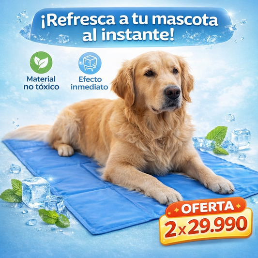 Evita que tu perro sufra por el calor🔥