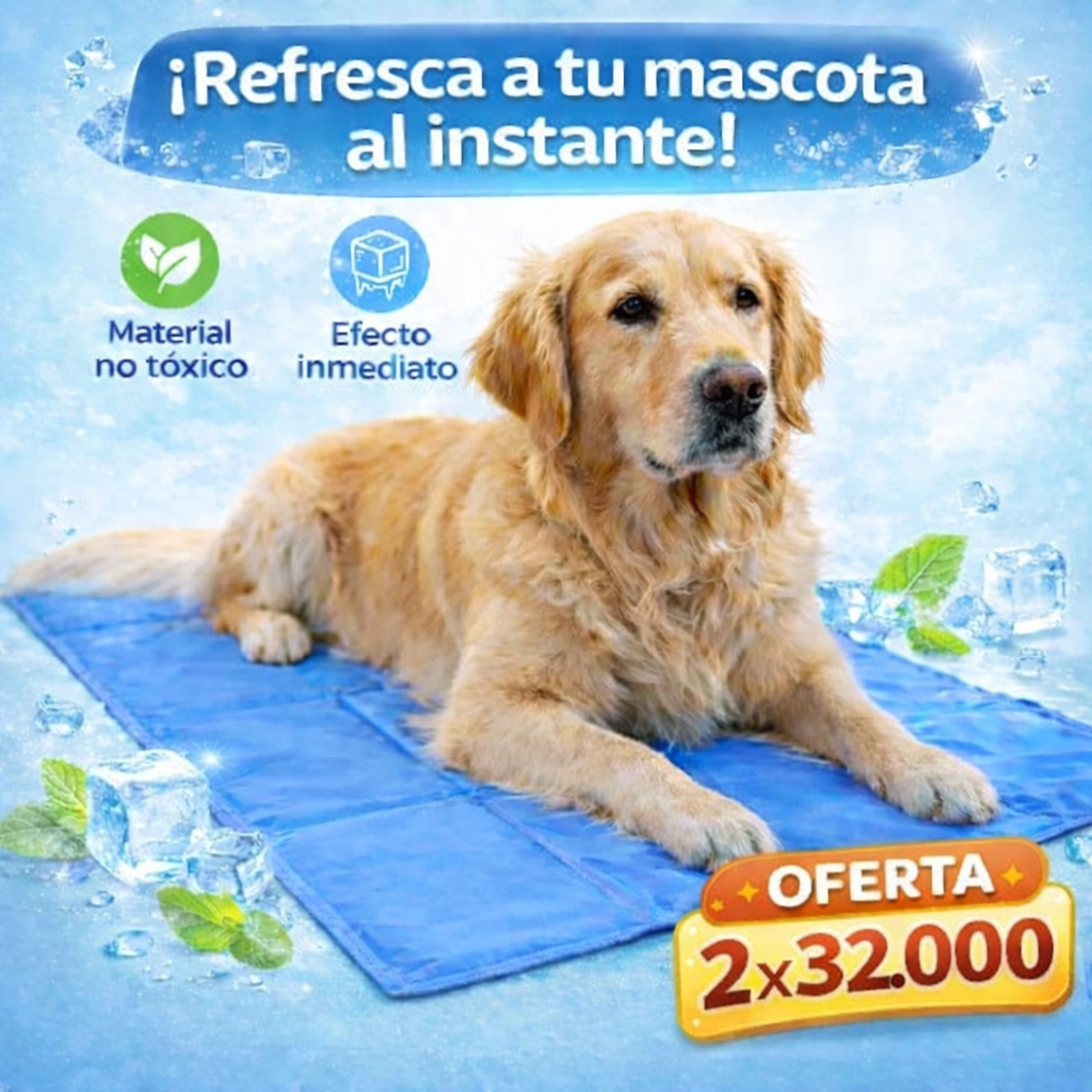 Mantenga a su mascota fresca y protegida del calor