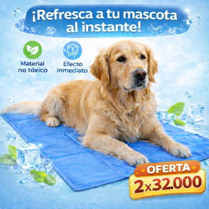 Mantenga a su mascota fresca y protegida del calor